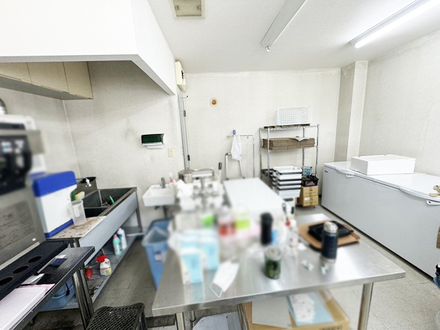 丘珠空港通沿い1階路面店 物件取得費用概算72万円 ソフトクリーム店！ : 幹線道路沿い1階路面店！