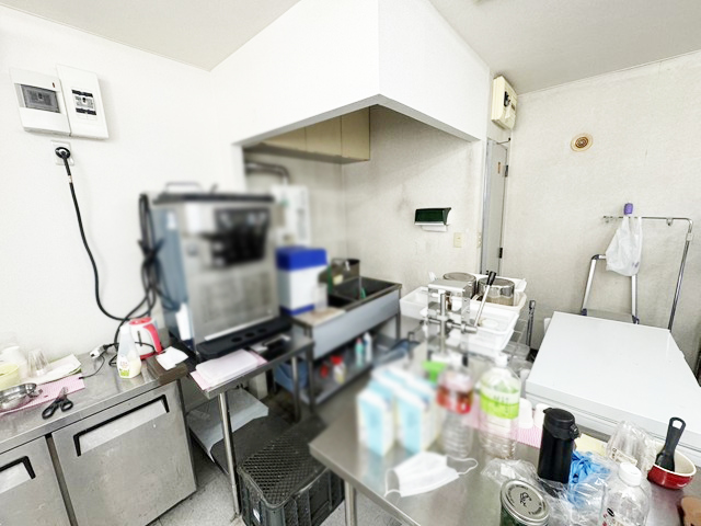 丘珠空港通沿い1階路面店 物件取得費用概算72万円 ソフトクリーム店！ : 幹線道路沿い1階路面店！